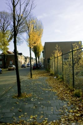 11-22-2014-november-Lovensestraat-Herfst