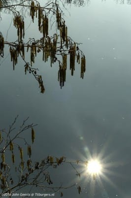 2016-03-12 5007 f8200 4.5 Piushaven Katjes en zon