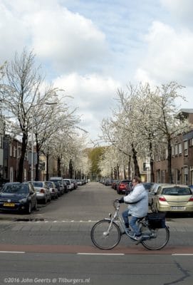 2016-04-30 9076 Gasstraat Appel Bloesem