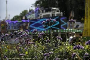 2016-07-23 1461 DA ijzerhard Kermismiddag
