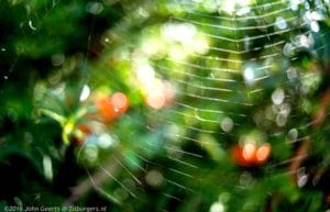 2016-09-15-web
